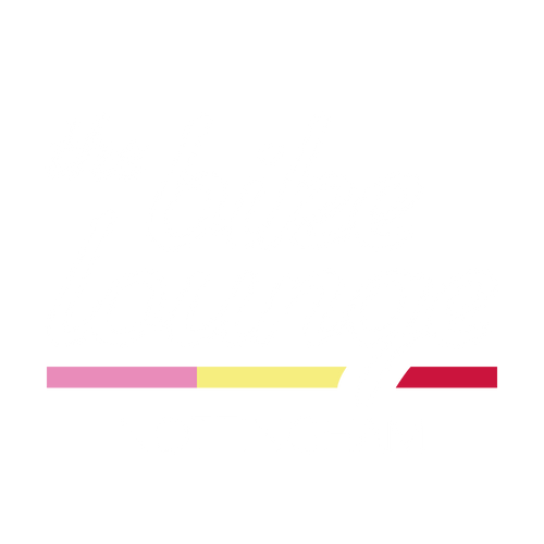 Hipo 550 Roller Saddle Bag – The Bike Lounge