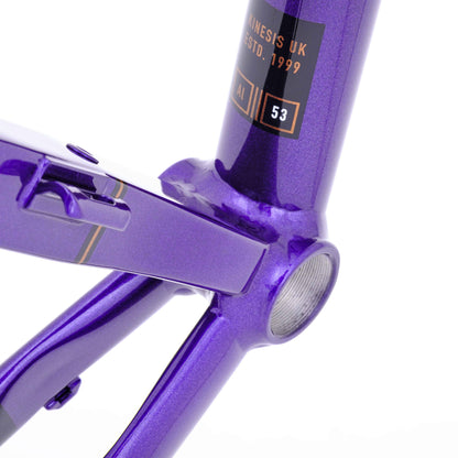 Kinesis Aithein Disc Frameset