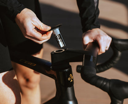 Colnago C68 Allroad Frameset