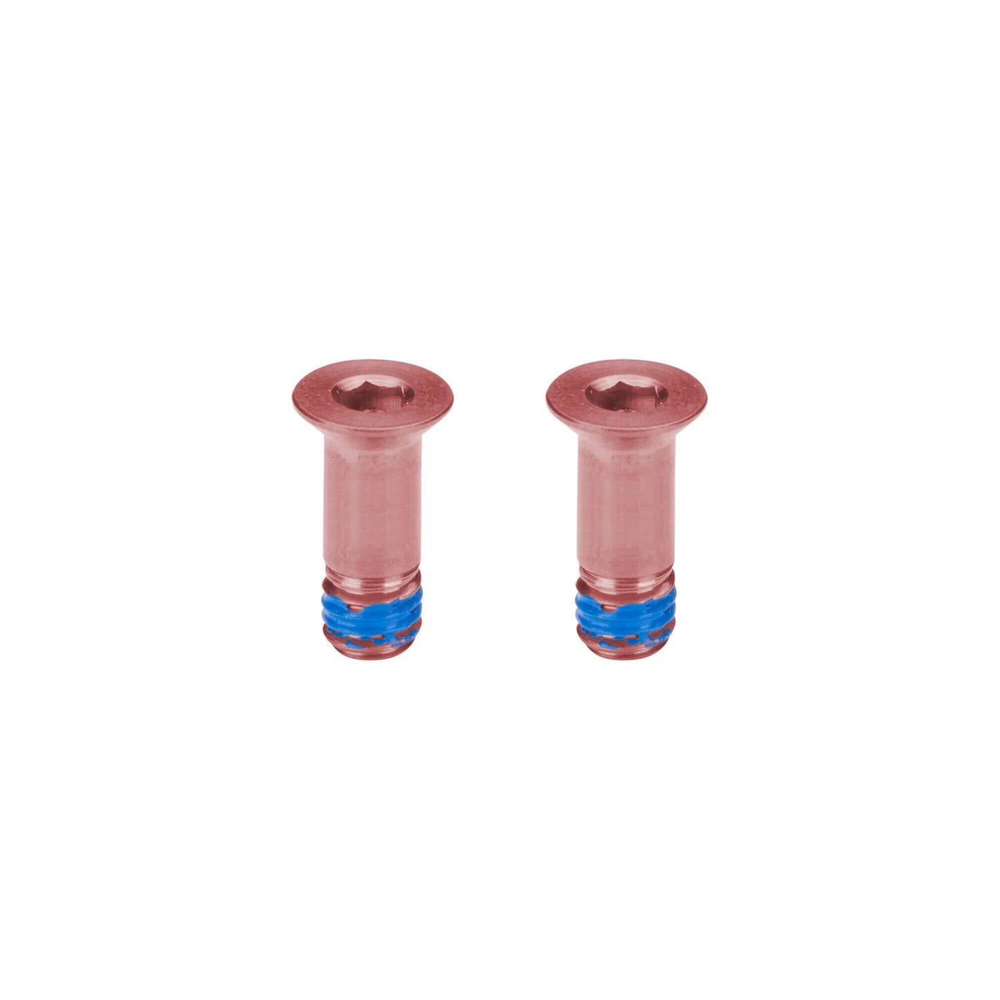 Kogel Titanium Bolt Kits SRAM Transmission / Rose