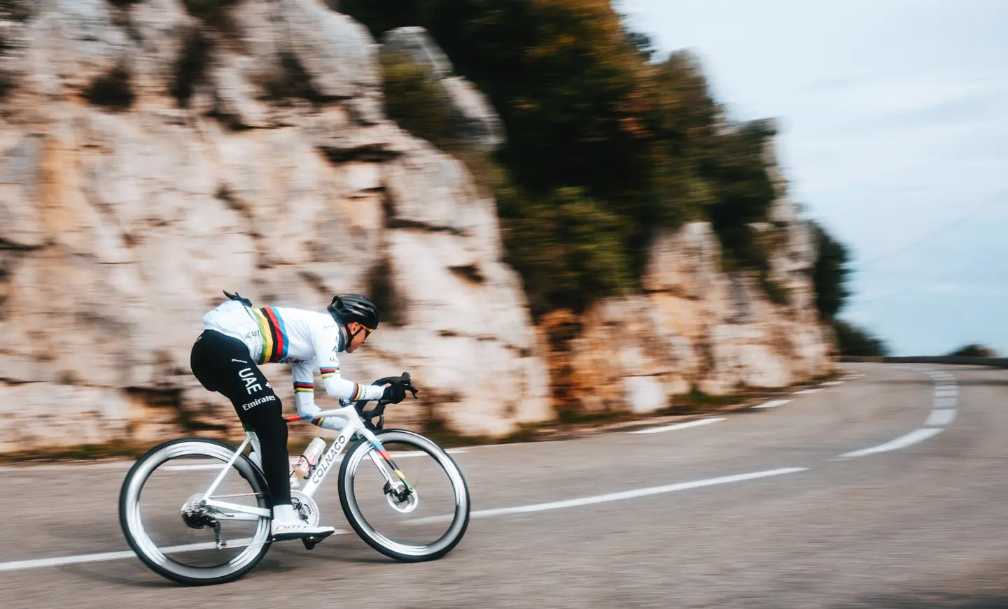 Colnago V5RS Disc Carbon Road Frameset