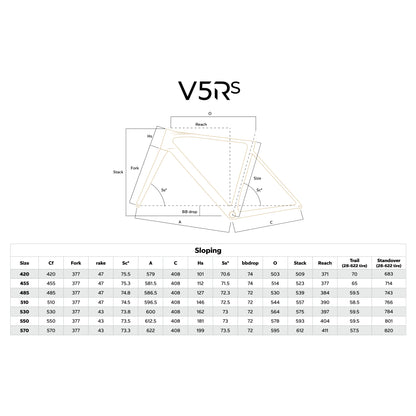 Colnago V5RS Disc Carbon Road Frameset